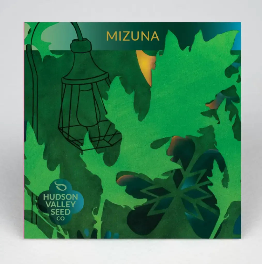 Mizuna Seeds (Organic) Hudson Valley Seed Company