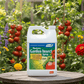 Monterey Garden Spray Concentrate - Spinosad (Gallon) Monterey