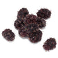 Persian Mulberry Tree Grow Organic