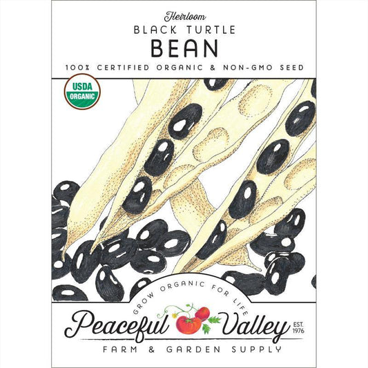 Black Turtle Bush Bean Seeds (Organic) Peaceful Valley