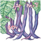 Royalty Purple Pod Bush Bean Seeds (Organic) Peaceful Valley