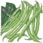 Tendergreen Bush Bean Seeds (Organic) Peaceful Valley