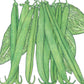 French Garden Bean Seeds (Organic) Peaceful Valley