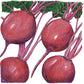 Early Wonder Tall Beet Seeds (Organic) Peaceful Valley