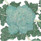 Calabrese Broccoli Seeds (Organic) Peaceful Valley