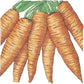 Danvers Carrot Seeds (Organic) Peaceful Valley