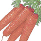 Scarlet Nantes Carrot Seeds (Organic) Peaceful Valley