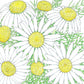 Chamomile Seeds (Organic) Peaceful Valley