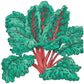 Red Ruby Chard Seeds (Organic) Peaceful Valley