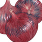 Cabernet Onion Seeds (Organic) Peaceful Valley