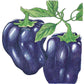 Purple Beauty Sweet Pepper Seeds (Organic) Peaceful Valley