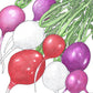 Easter Egg Mix Radish Seeds (Organic) Peaceful Valley