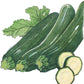 Dark Green Zucchini Summer Squash Seeds (Organic) Peaceful Valley