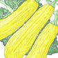 Early Straightneck Summer Squash Seeds (Organic) Peaceful Valley