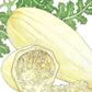 Spaghetti Winter Squash Seeds (Organic) Peaceful Valley