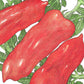 San Marzano Tomato Seeds (Organic) Peaceful Valley