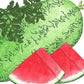 Crimson Sweet Watermelon Seeds (Organic) Peaceful Valley