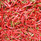 Hot Cayenne Slim Pepper Seeds (Organic) Peaceful Valley