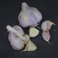 Organic Norquay Garlic (lb)