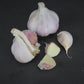 Organic German Extra Hardy Garlic (lb)