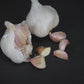 California Late White Garlic (lb)