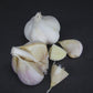 Purple Glazer Garlic (lb)