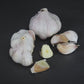 Purple Italian Garlic (lb)