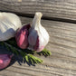 Spanish Roja Garlic (lb)