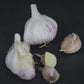Russian Red Garlic (lb)