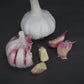 Spanish Roja Garlic (lb)