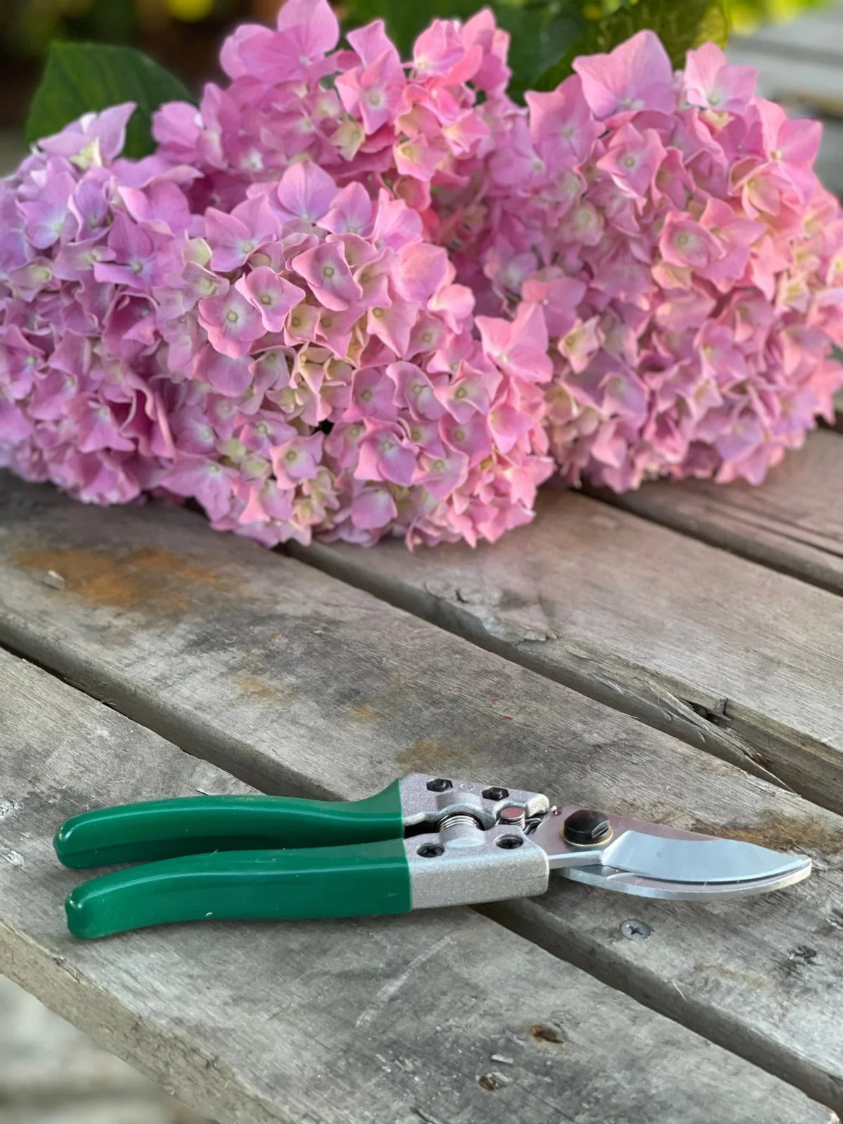 Ultimate Garden Gift Box -  4 Garden Tool Set  (Hori Hori, Pruners, Garden Snips and Garden Tool Sharpeners)  Tool Kit The Celtic Farm