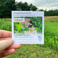Purplestem Aster Seeds (Organic) Hudson Valley Seed Company