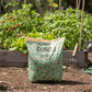 Roots Organics Potting Soil (1.5 Cu Ft) Roots Organics