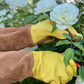 Rose Gardener Gift Box | Rose Gloves, Belt & Pruners The Celtic Farm