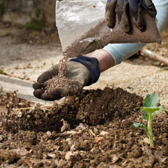 Soil Amendment thumbnail