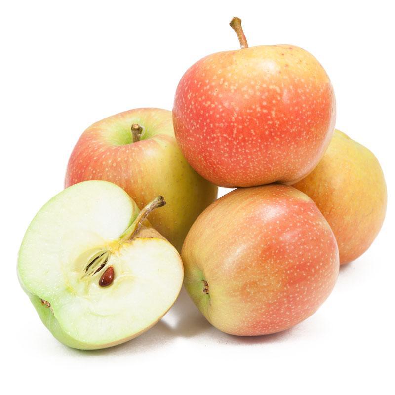 Spitzenburg Apple Tree Grow Organic