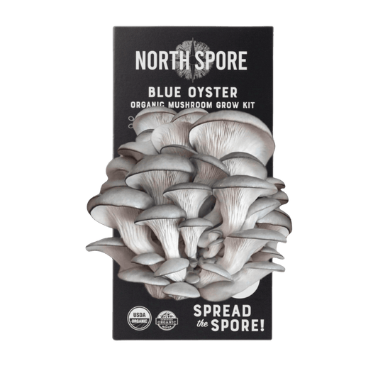 Organic Blue Oyster ‘Spray & Grow’ Mushroom Growing Kit North Spore