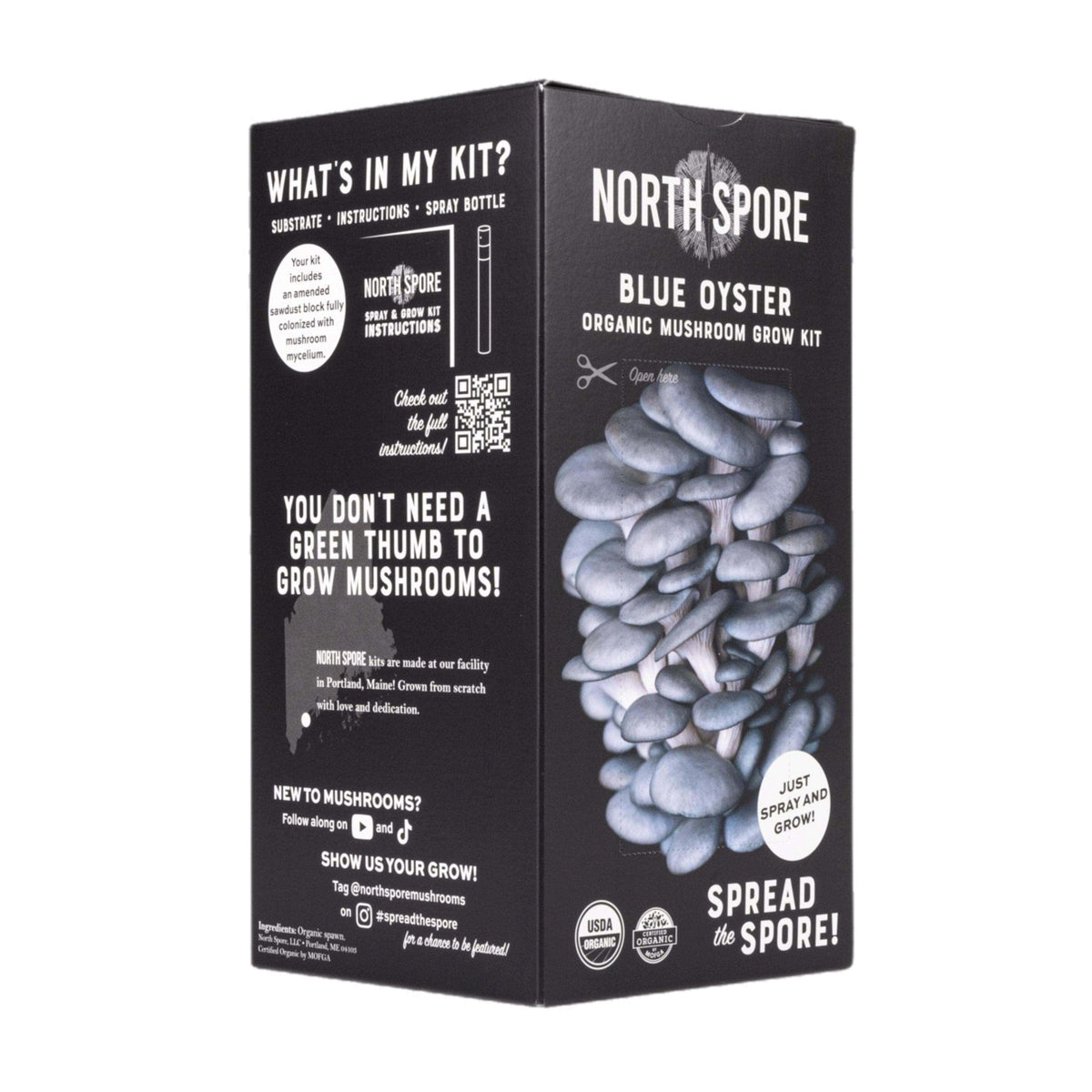 Organic Blue Oyster ‘Spray & Grow’ Mushroom Growing Kit North Spore
