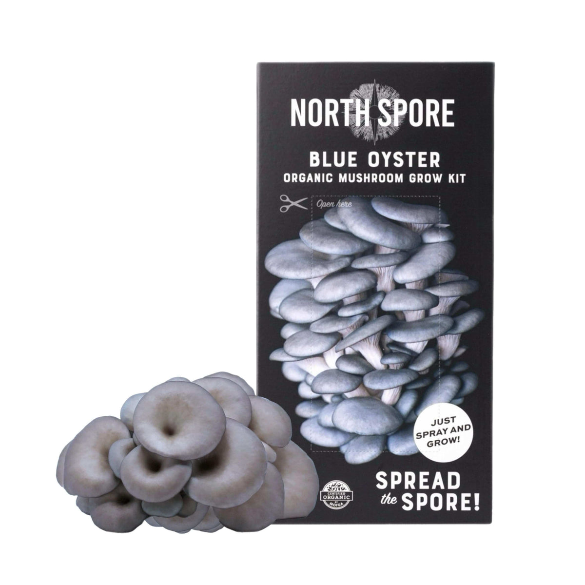 Organic Blue Oyster ‘Spray & Grow’ Mushroom Growing Kit North Spore