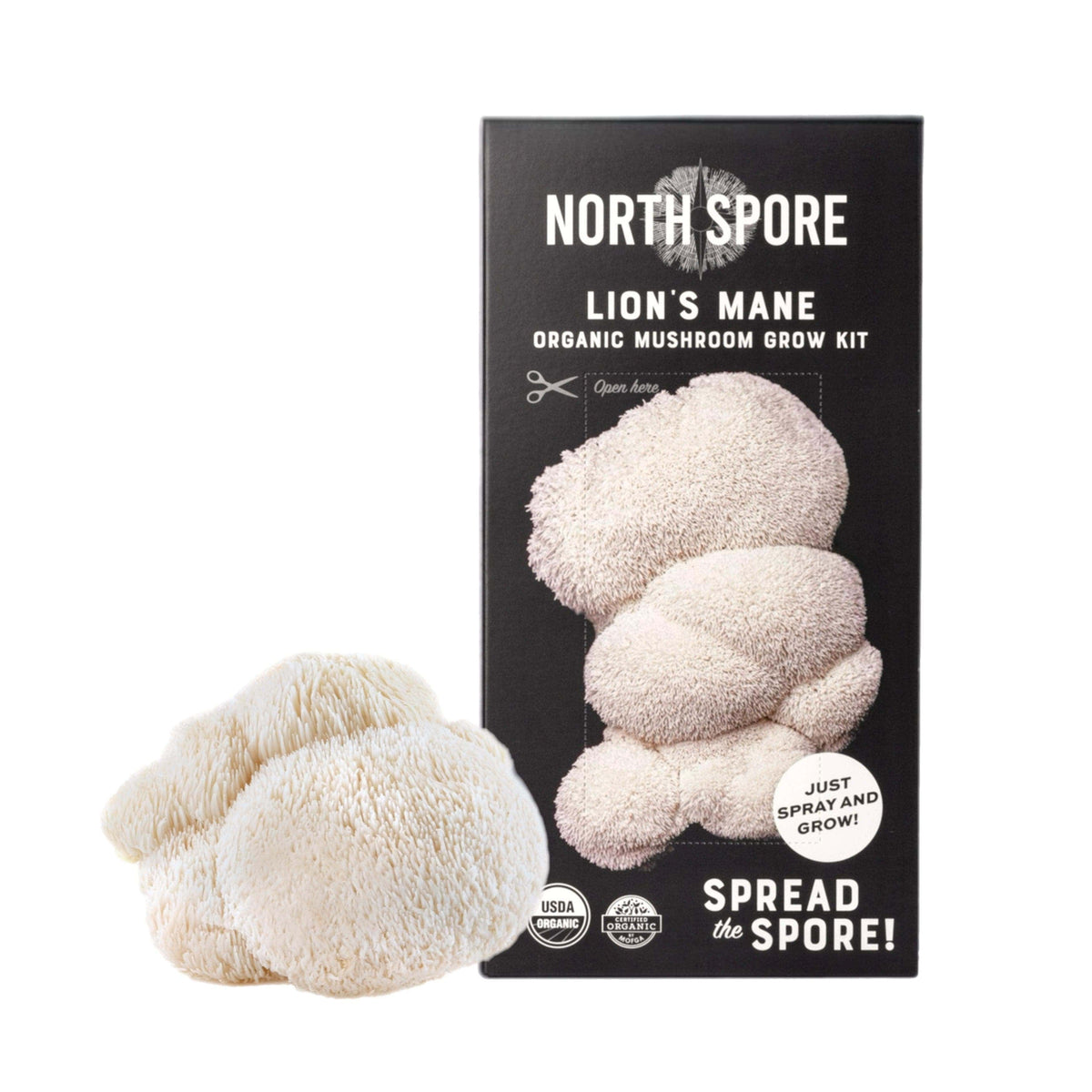 Organic Lion's Mane ‘Spray & Grow’ Mushroom Growing Kit North Spore