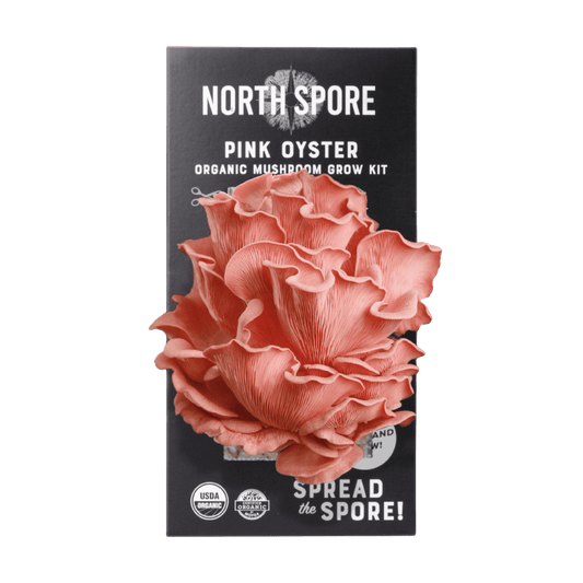 Organic Pink Oyster ‘Spray & Grow’ Mushroom Growing Kit North Spore