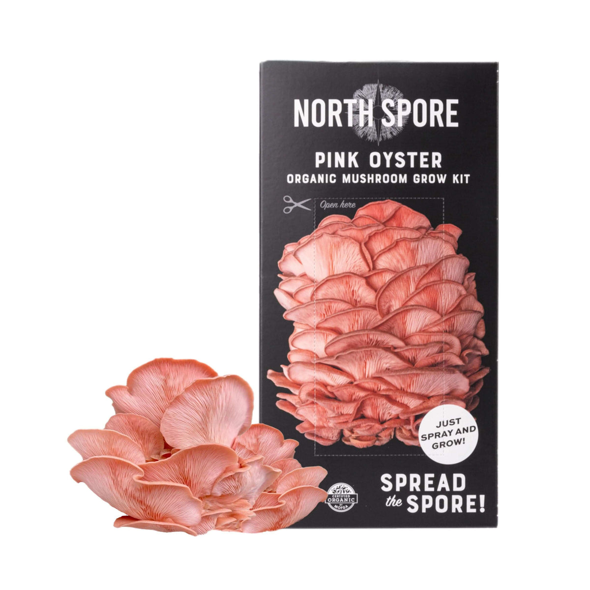 Organic Pink Oyster ‘Spray & Grow’ Mushroom Growing Kit North Spore