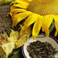 Sunflower Snack Seeds Renee's Garden
