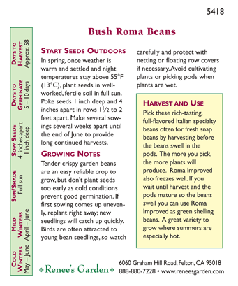 Roma Improved Bush Bean Seeds Renee's Garden