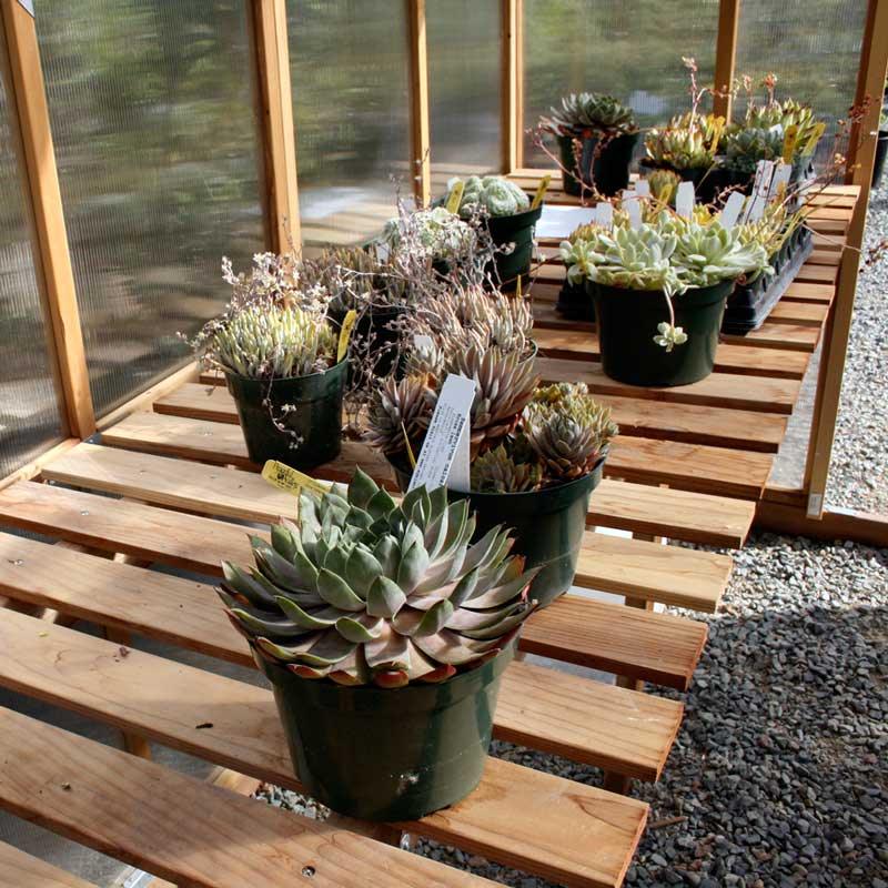6' X 12' Greenhouse - Bench Kit (1 Bench) PV Drop Ship
