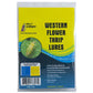 Pest Wizard Western Flower Thrips Lure 3-Pack Pest Wizard