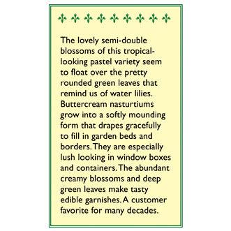Buttercream Mounding Nasturtium Flower Seeds Renee's Garden