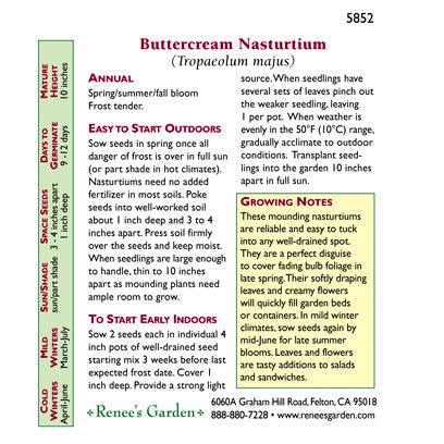 Buttercream Mounding Nasturtium Flower Seeds Renee's Garden
