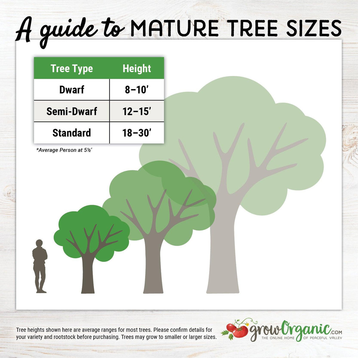 Mature fruit tree size guide