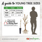 JH Hale Peach Tree Grow Organic